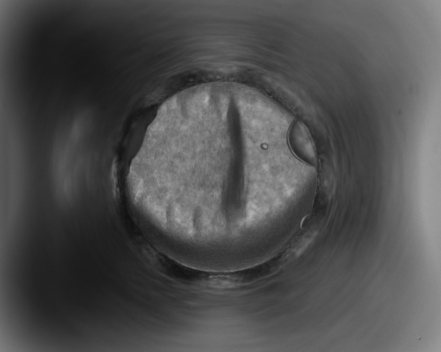 X0000087550758200705181106