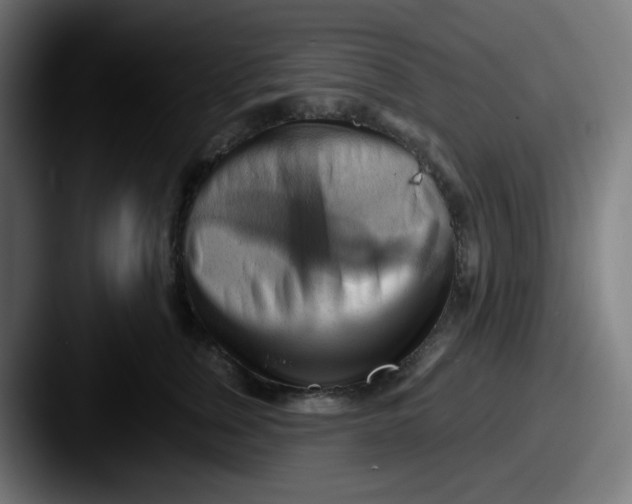 X0000087550759200705181106