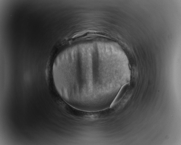 X0000087550760200705181106