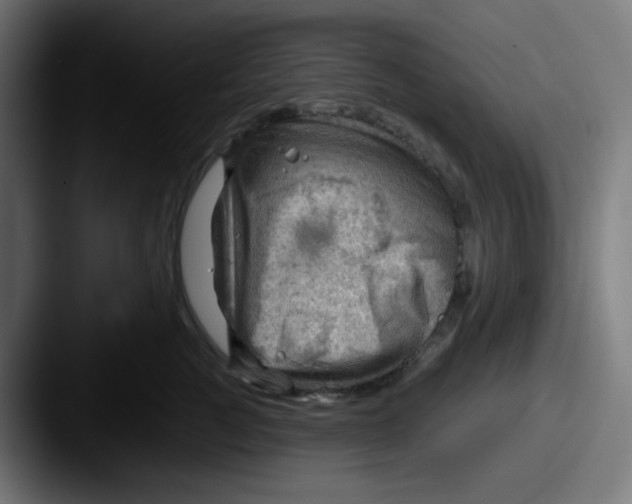 X0000087550761200705181106