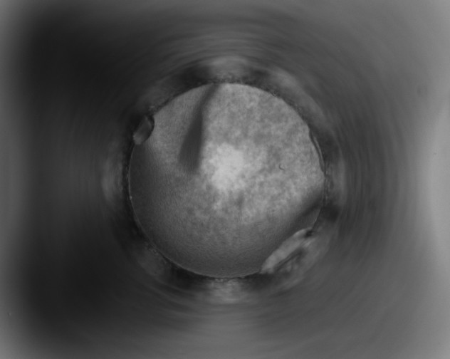 X0000087550762200705181106