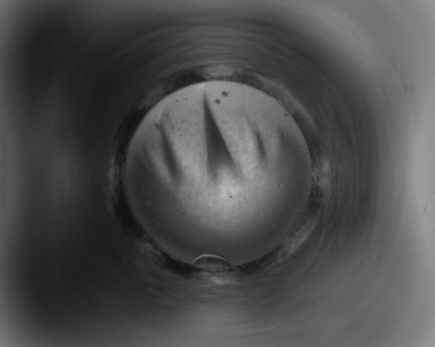 X0000087550763200705181106