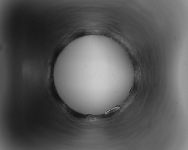 X0000087550764200705181106