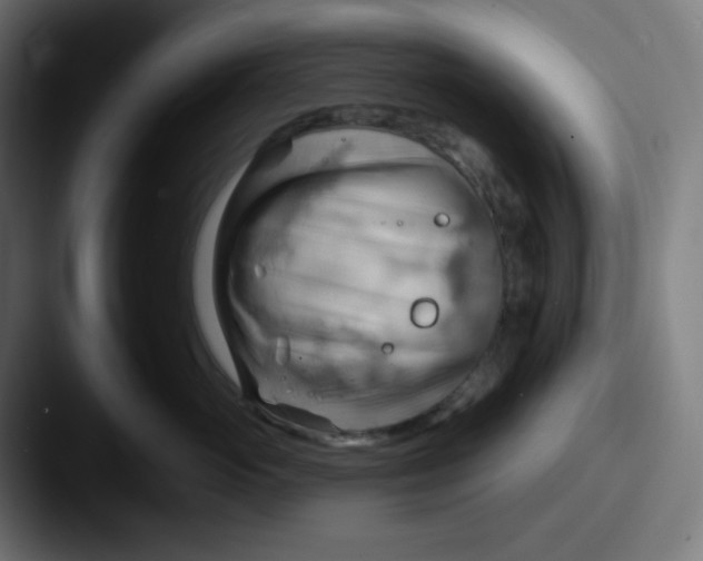 X0000087550765200705181106