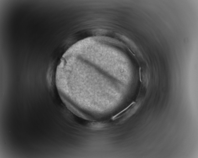 X0000087550766200705181106