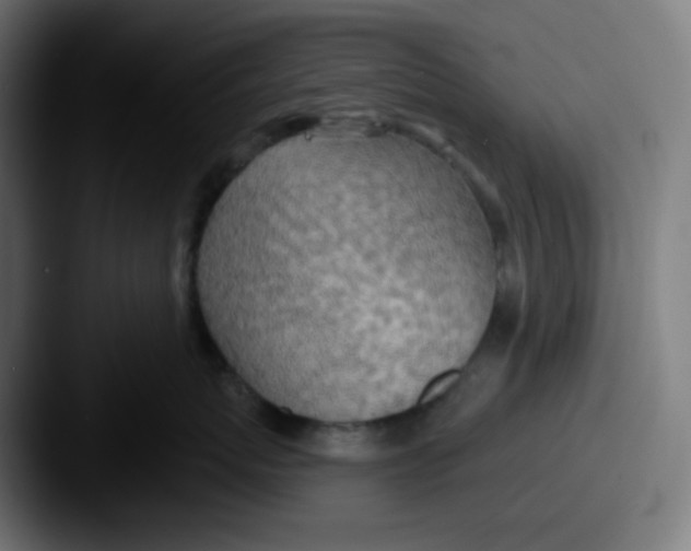 X0000087550767200705181106