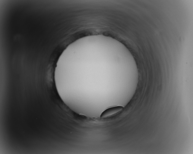 X0000087550768200705181106