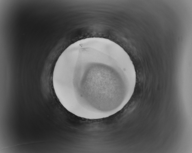 X0000087550769200705181106