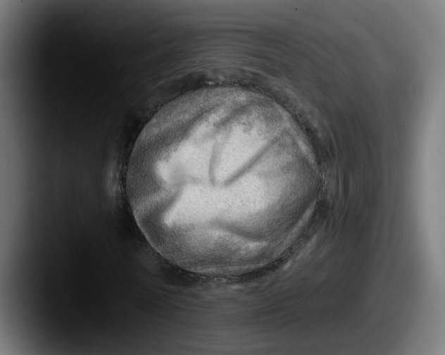 X0000087550770200705181106