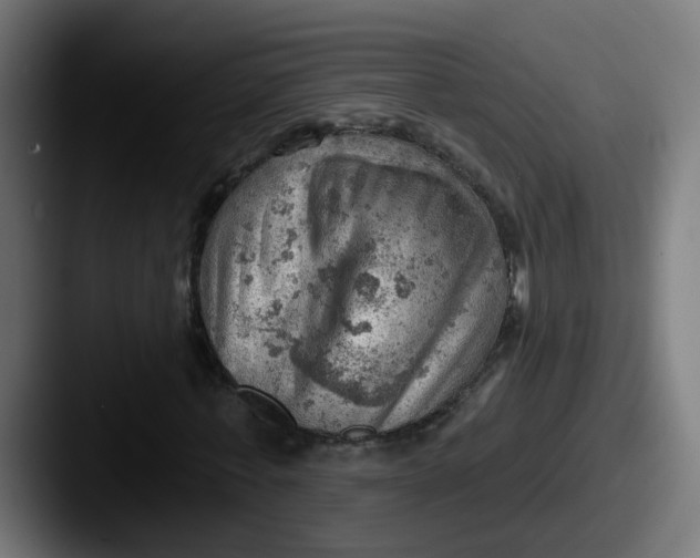 X0000087550771200705181106