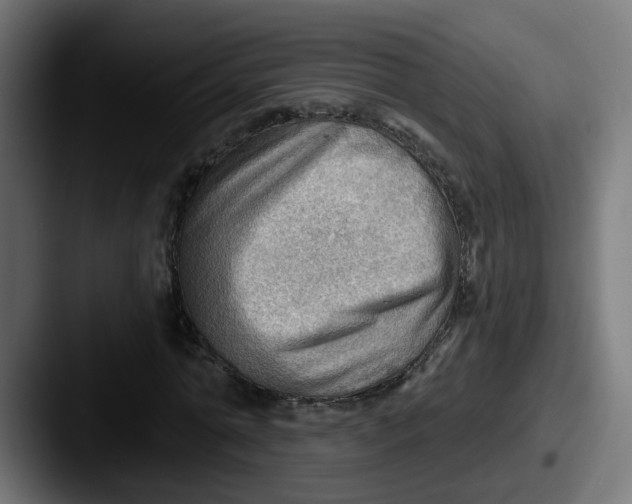 X0000087550774200705181106