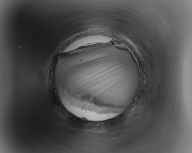 X0000087550775200705181106