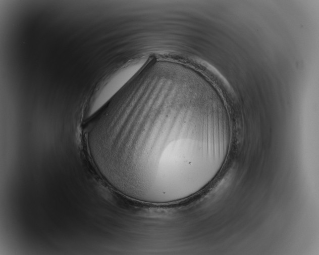 X0000087550777200705181106