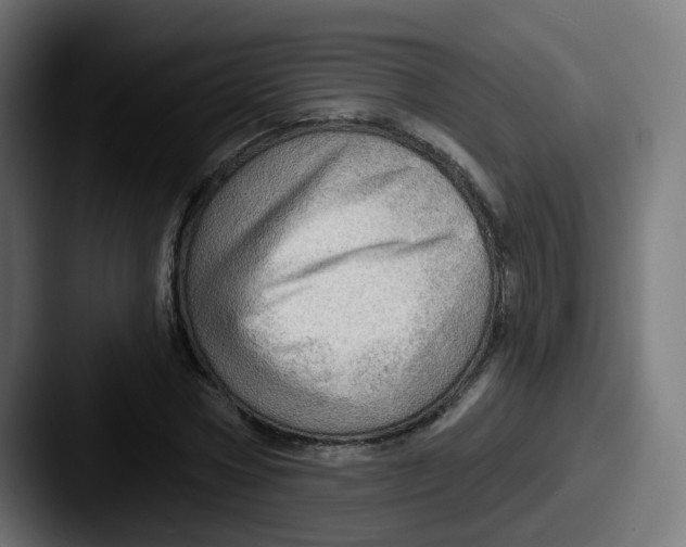 X0000087550778200705181106