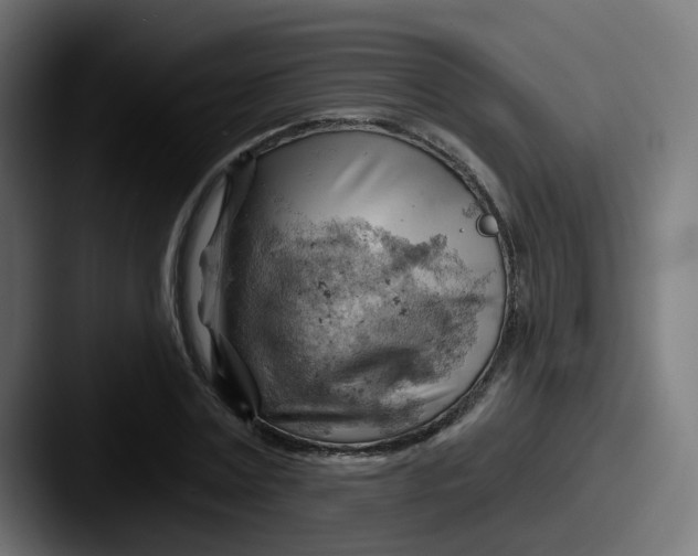 X0000087550779200705181106