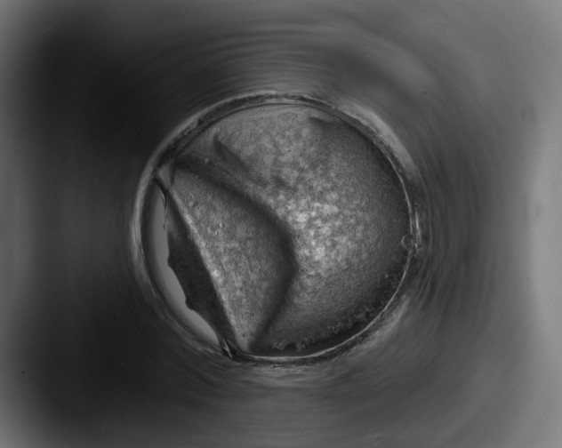 X0000087550780200705181106