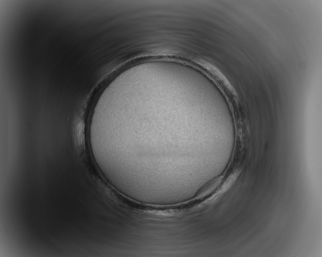 X0000087550781200705181106