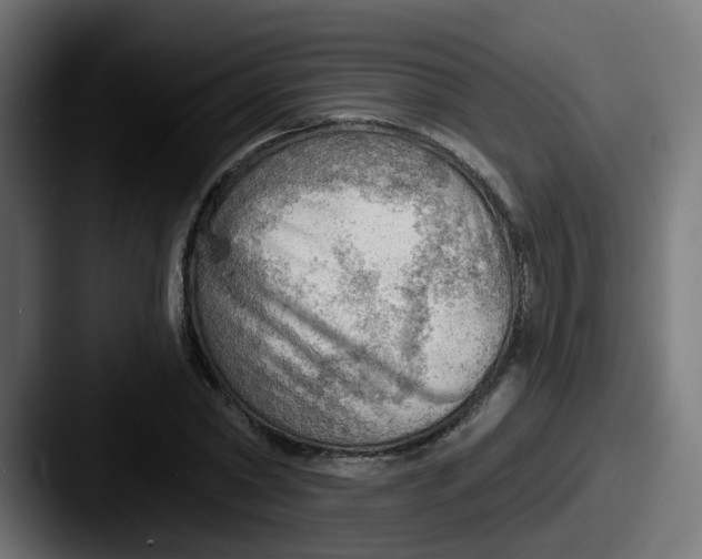 X0000087550782200705181106