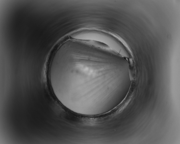 X0000087550783200705181106