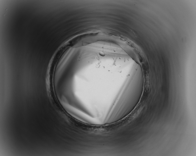 X0000087550784200705181106