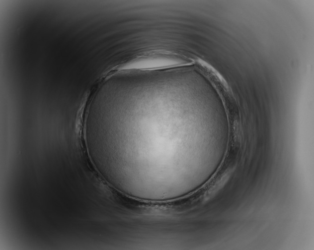 X0000087550785200705181106