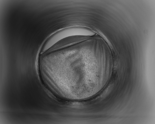 X0000087550787200705181106