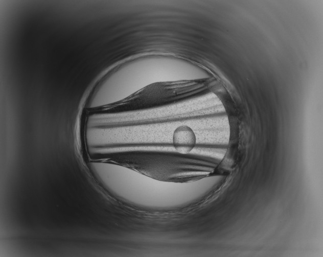 X0000087550788200705181105