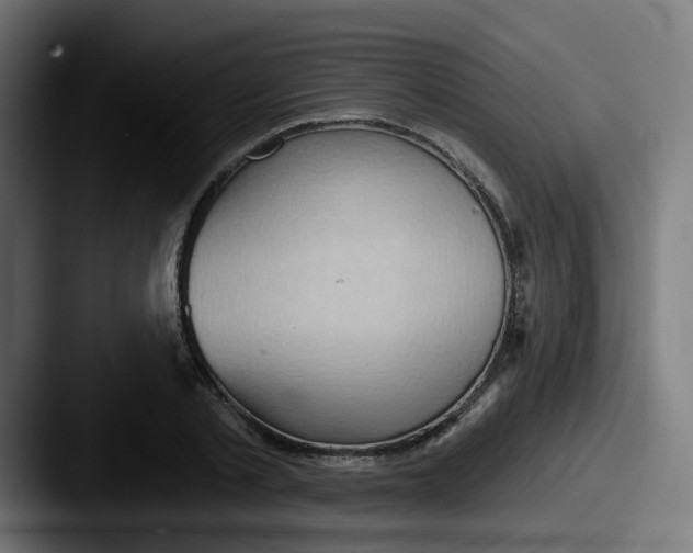 X0000087550789200705181105