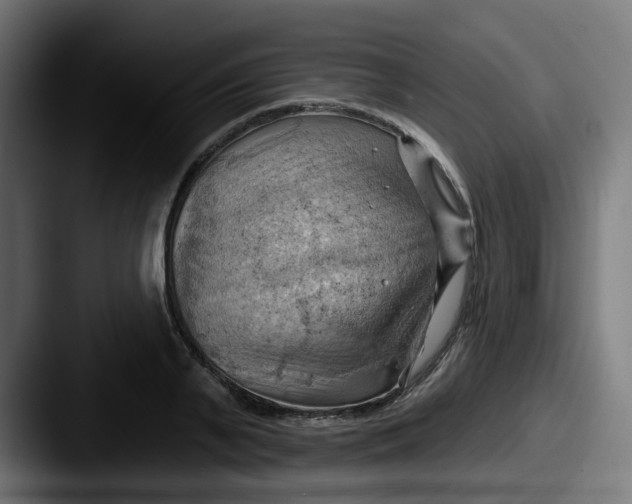 X0000087550791200705181105