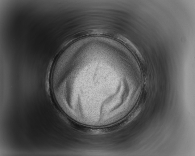 X0000087550794200705181105