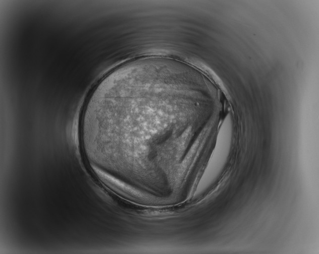 X0000087550795200705181105