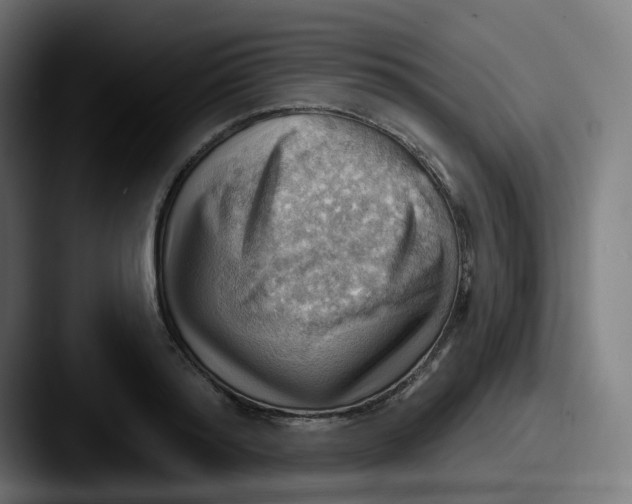 X0000087550796200705181105