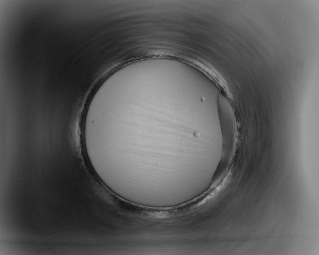 X0000087550798200705181105