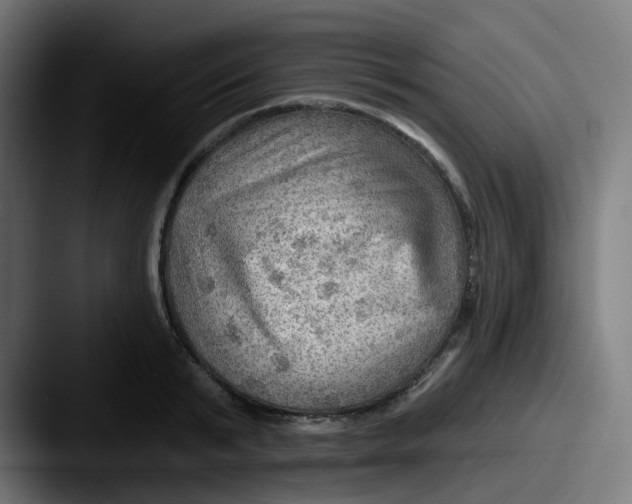 X0000087550799200705181105