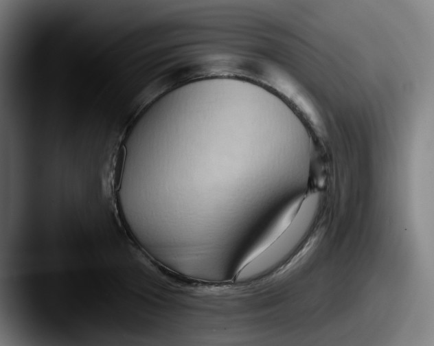 X0000087550801200705181105