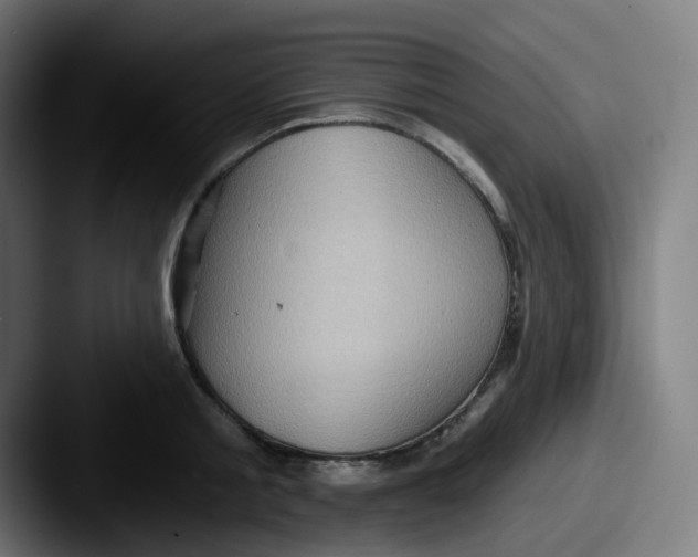 X0000087550805200705181105