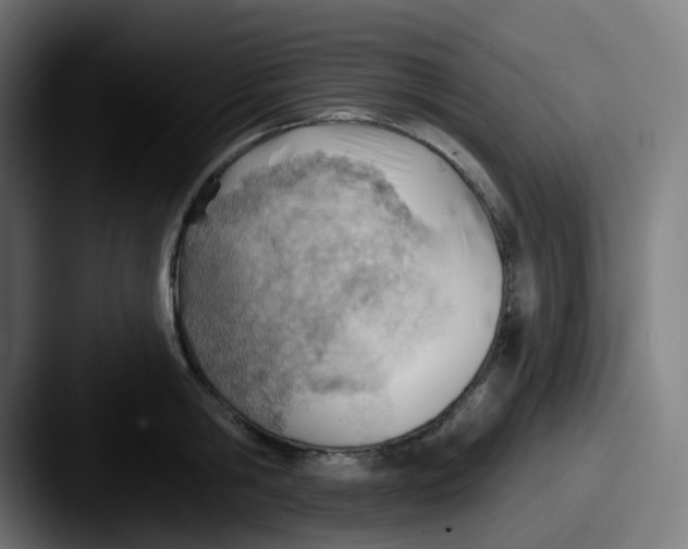 X0000087550806200705181105