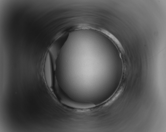 X0000087550809200705181105