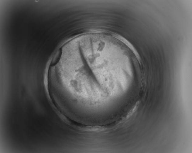 X0000087550811200705181105