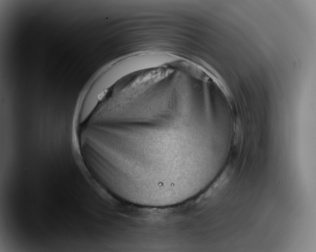 X0000087550812200705181105