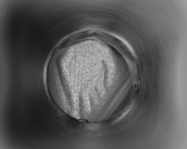 X0000087550815200705181105