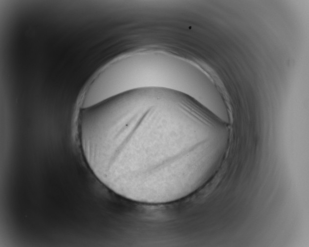 X0000087550816200705181105