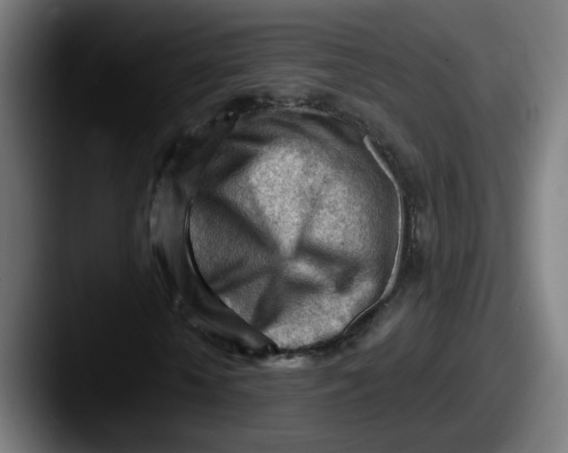 X0000087550818200705181105