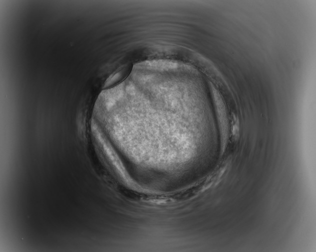 X0000087550819200705181105