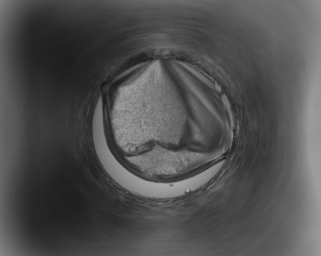 X0000087550820200705181105