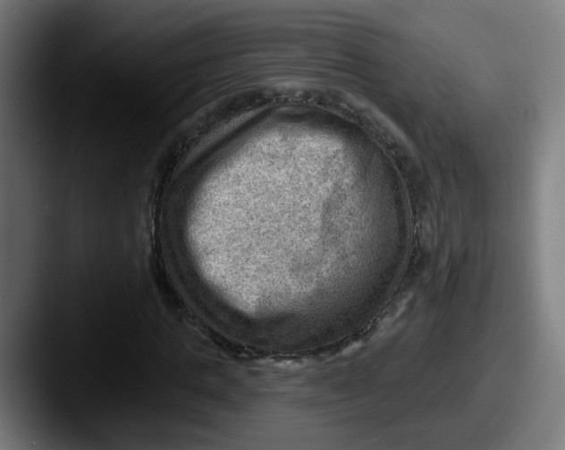 X0000087550821200705181105