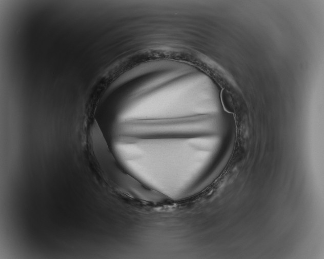 X0000087550822200705181105