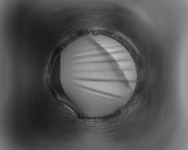 X0000087550823200705181105