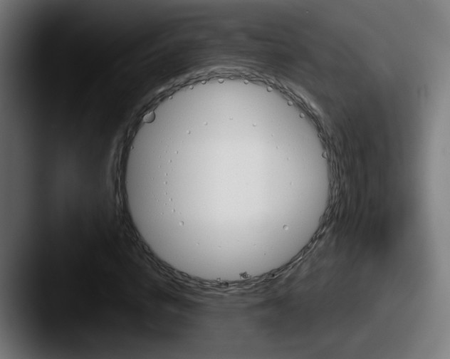 X0000087550824200705181105