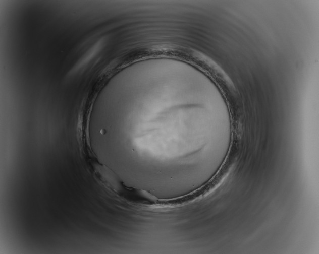 X0000087550825200705181105